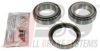 RUV 4065 Wheel Bearing Kit